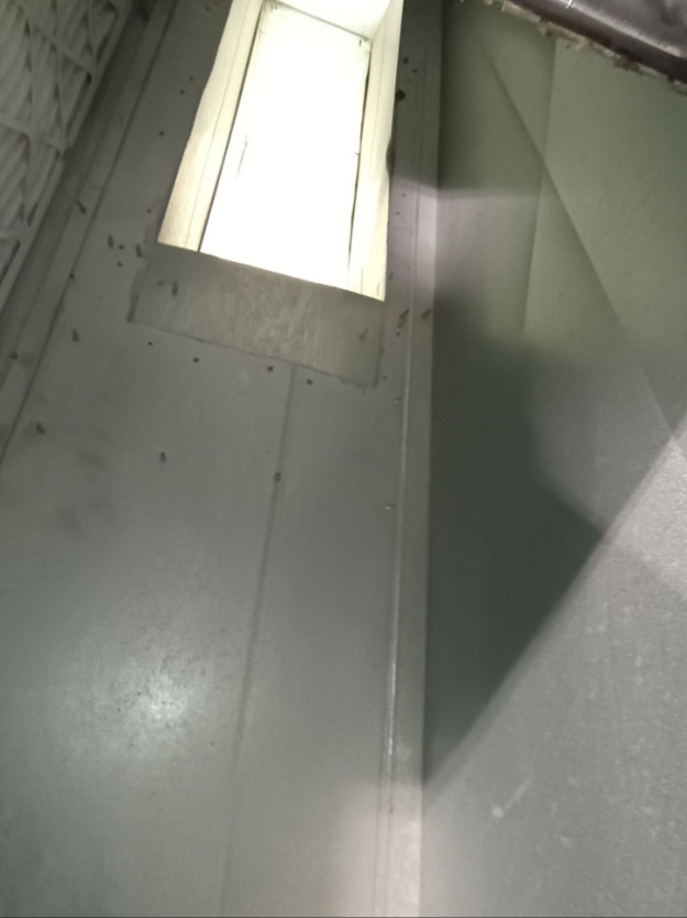 Dryer And Duct Ranger